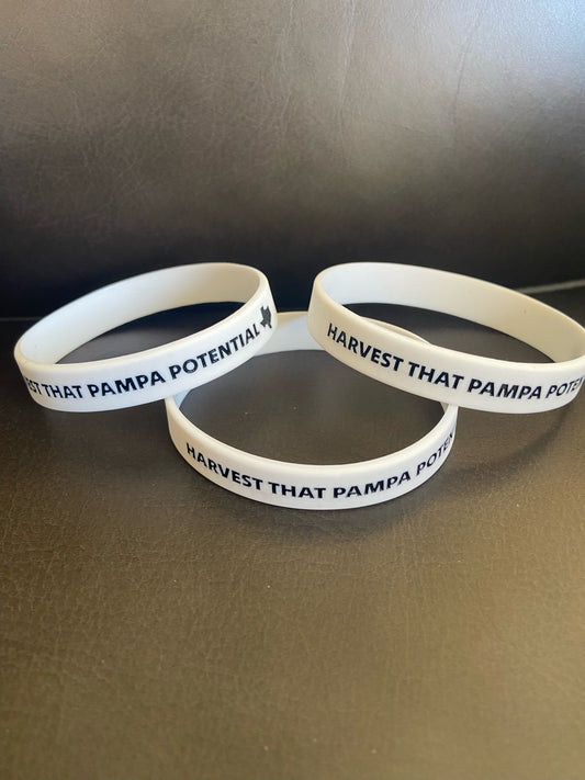 Pampa Potential Wristbands